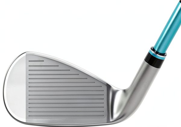 XXIO Womens Golf Irons 169.99 Sports Outdoors-3
