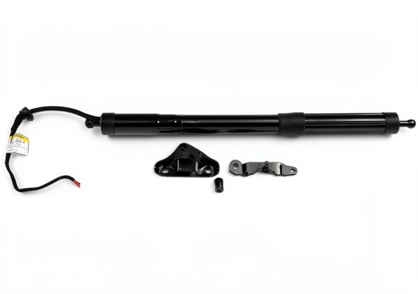 Dorman Trunk Lid Pull Down Motor 747-051 Replacement Ready To Paint-1